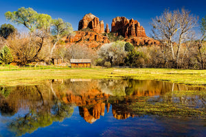 Cathedral Reflection
