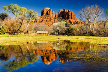 Cathedral Reflection