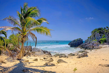 Edge Of Paradise