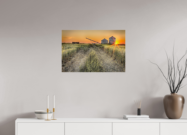 75 x 50 cm, Acrylic Print Harvest Glow – Prairie Sunset over the Wheat Fields