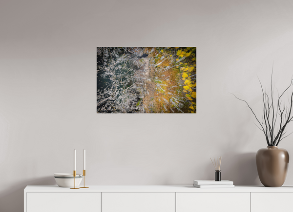 75 x 50 cm, Acrylic Print Edge of Renewal – Fallen and Flourishing