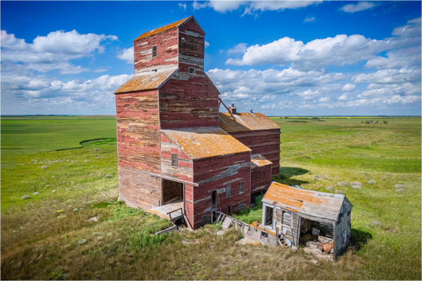 Main image Prairie Giant in Silence