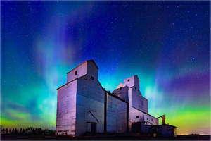 Main image Aurora Over Asquith – Northern Lights on the Prairies