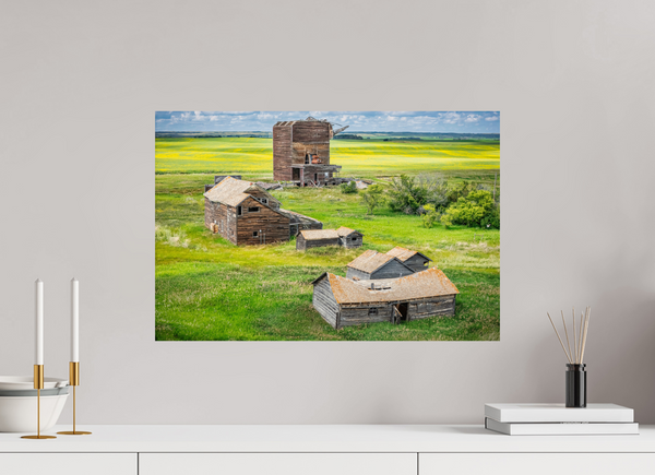 60 x 40 cm, Photo Print The Fallen Crown of Bents