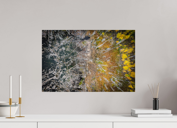 60 x 40 cm, Photo Print Edge of Renewal – Fallen and Flourishing