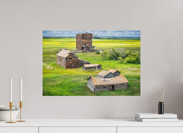 60 x 40 cm, Metal Print The Fallen Crown of Bents