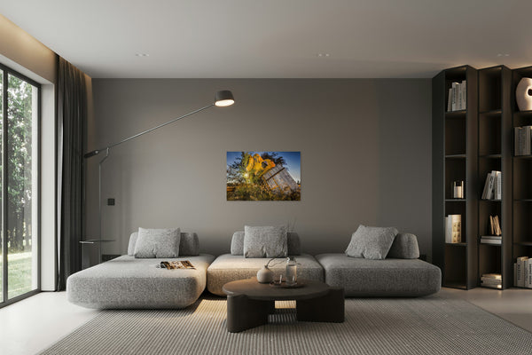 2742757 :: Tilted Glory