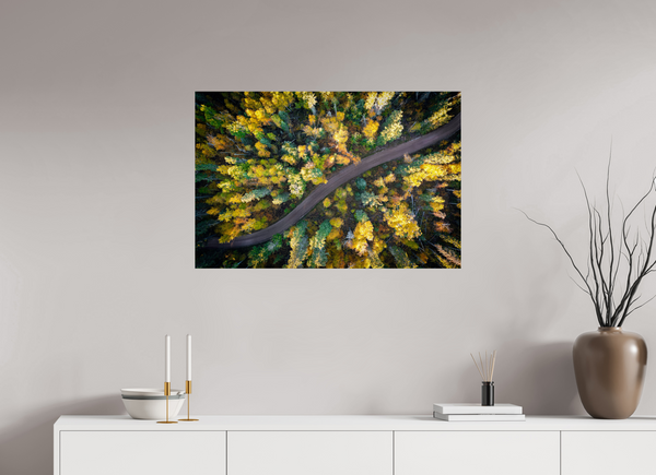 90 x 60 cm, Photo Print Golden Passage – Autumn Road Through the Forest