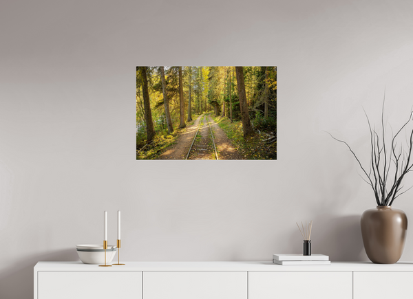75 x 50 cm, Acrylic Print Tracks Through Time