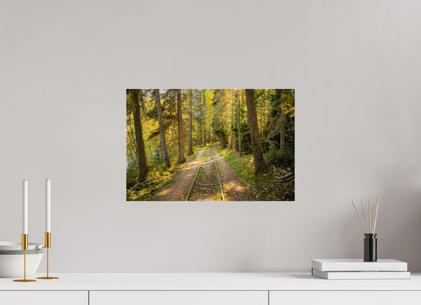 45 x 30 cm, Acrylic Print Tracks Through Time