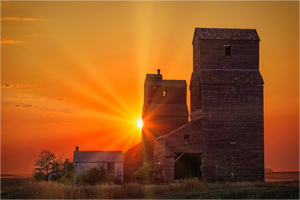 Main image Crimson Silence – Grain Elevators of Lepine, Saskatchewan