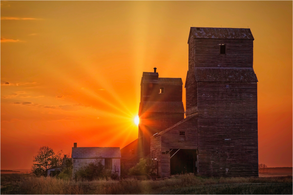 Main image Crimson Silence – Grain Elevators of Lepine, Saskatchewan