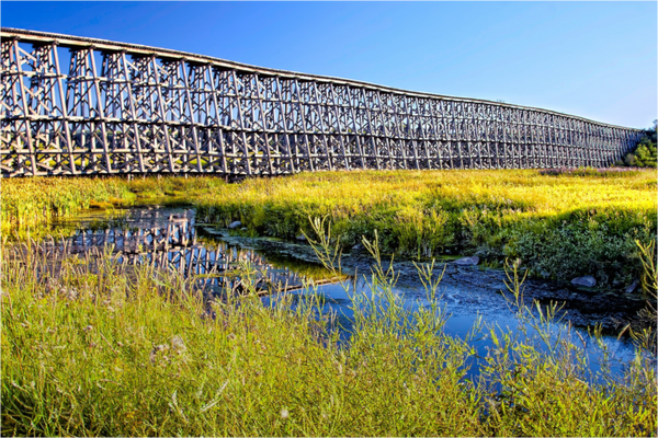 Main image Timber Lines