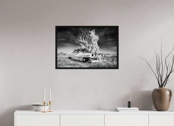 75 x 50 cm, Framed Print Where Time Took Root
