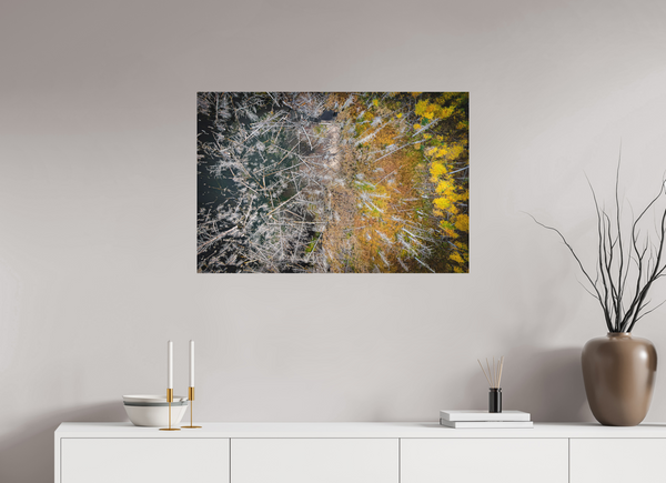 90 x 60 cm, Metal Print Edge of Renewal – Fallen and Flourishing