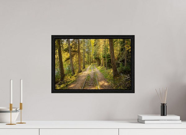 45 x 30 cm, Framed Print Tracks Through Time