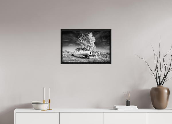 60 x 40 cm, Framed Print Where Time Took Root