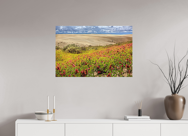 90 x 60 cm, Metal Print Blooming Sands — The Great Sandhills, Saskatchewan
