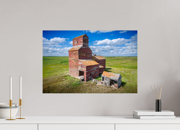 60 x 40 cm, Photo Print Prairie Giant in Silence