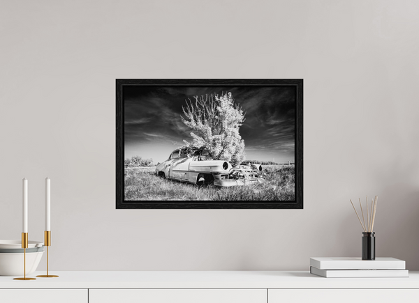 45 x 30 cm, Framed Print Where Time Took Root