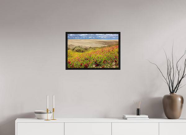 60 x 40 cm, Framed Print Blooming Sands — The Great Sandhills, Saskatchewan