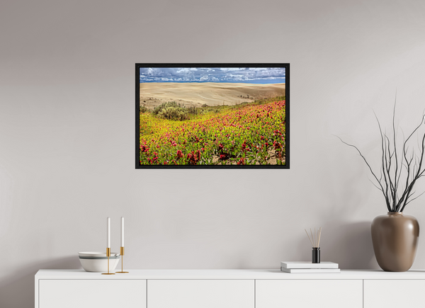 75 x 50 cm, Framed Print Blooming Sands — The Great Sandhills, Saskatchewan