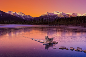Main image Crimson Silence — Vermilion Lakes, Banff National Park