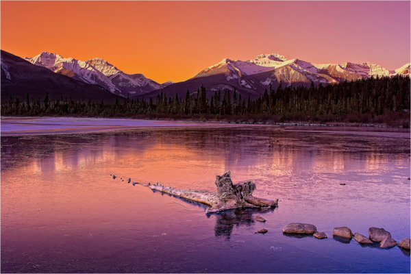 Main image Crimson Silence — Vermilion Lakes, Banff National Park