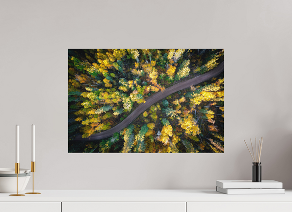 60 x 40 cm, Metal Print Golden Passage – Autumn Road Through the Forest