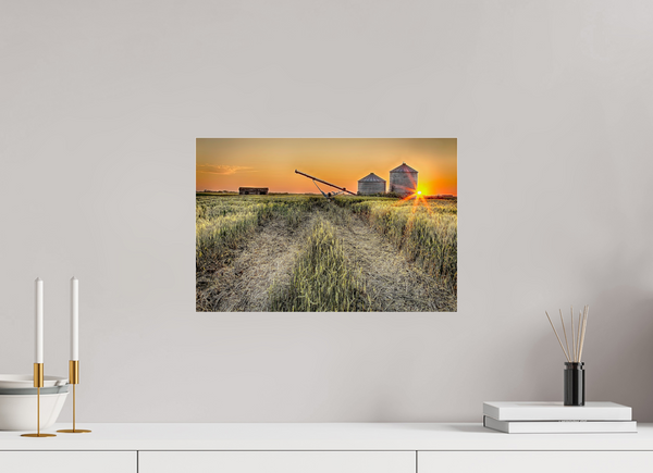 45 x 30 cm, Acrylic Print Harvest Glow – Prairie Sunset over the Wheat Fields