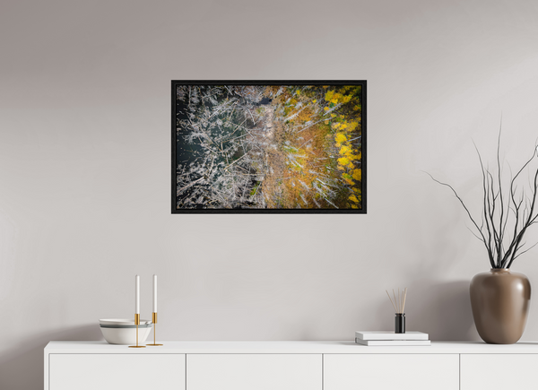 75 x 50 cm, Framed Print Edge of Renewal – Fallen and Flourishing