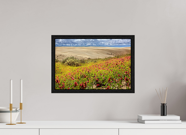45 x 30 cm, Framed Print Blooming Sands — The Great Sandhills, Saskatchewan
