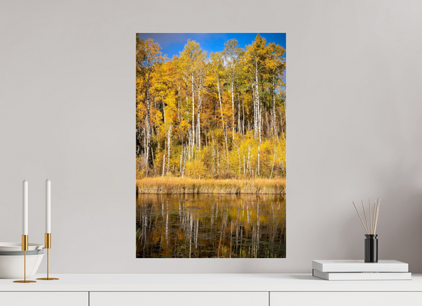 40 x 60 cm, Acrylic Print Golden Stillness — Autumn Reflections in Saskatchewan
