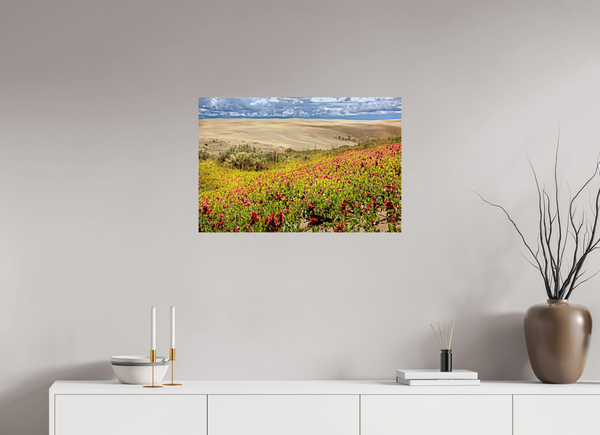 75 x 50 cm, Photo Print Blooming Sands — The Great Sandhills, Saskatchewan