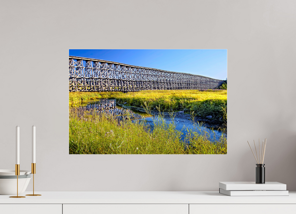 60 x 40 cm, Acrylic Print Timber Lines