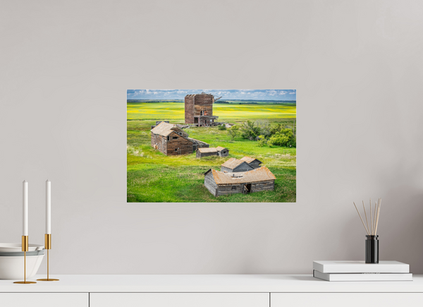 45 x 30 cm, Acrylic Print The Fallen Crown of Bents