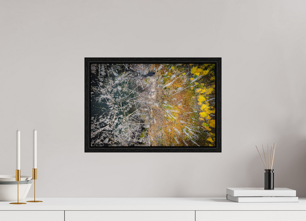 45 x 30 cm, Framed Print Edge of Renewal – Fallen and Flourishing