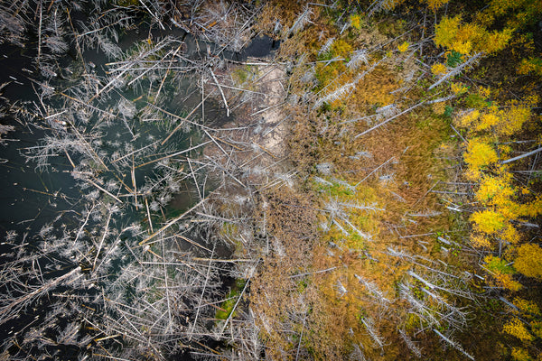 Between Seasons