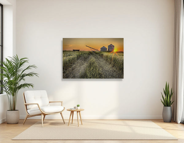 2742709 :: Harvest Glow