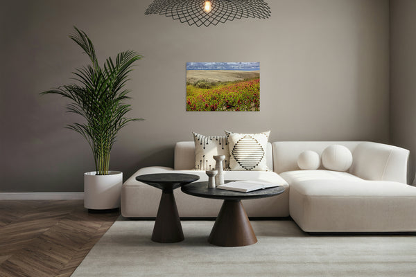 2742766 :: Blooming Sands