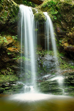 Emerald Veil