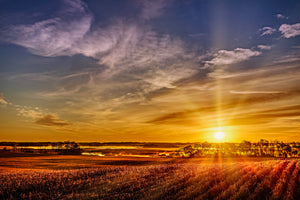 First Light On The Prairie