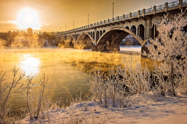 Golden Mist