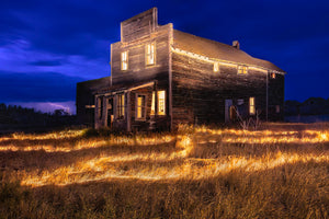Light In The Long Grass