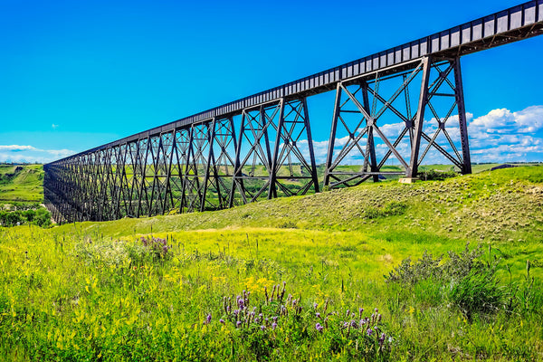 Prairie Passage