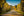 Road Into Autumn