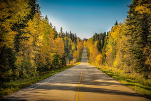 Road Into Autumn