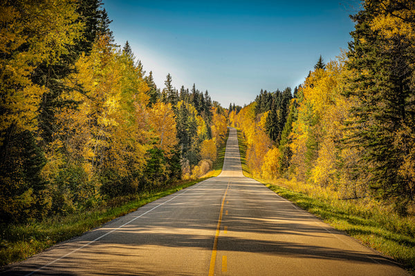 Road Into Autumn