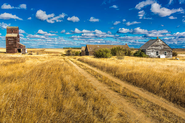 The Road Through Bents