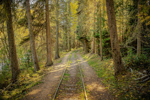 Tracks Through Time